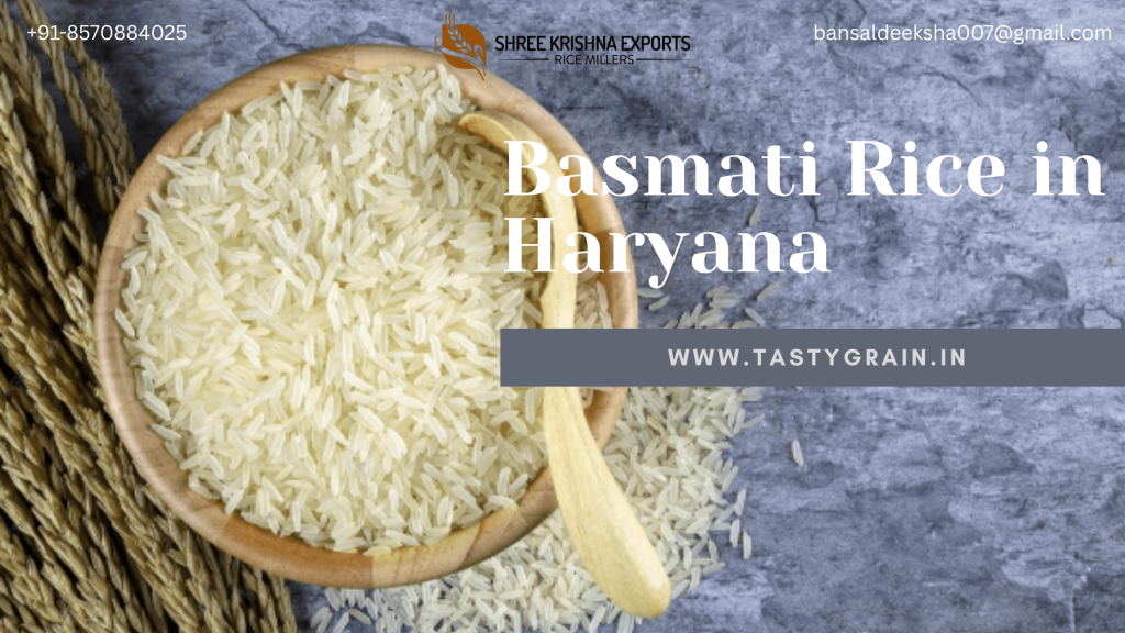 Basmati Rice in Haryana