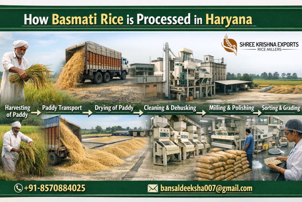 How basmati rice is processed in Haryana