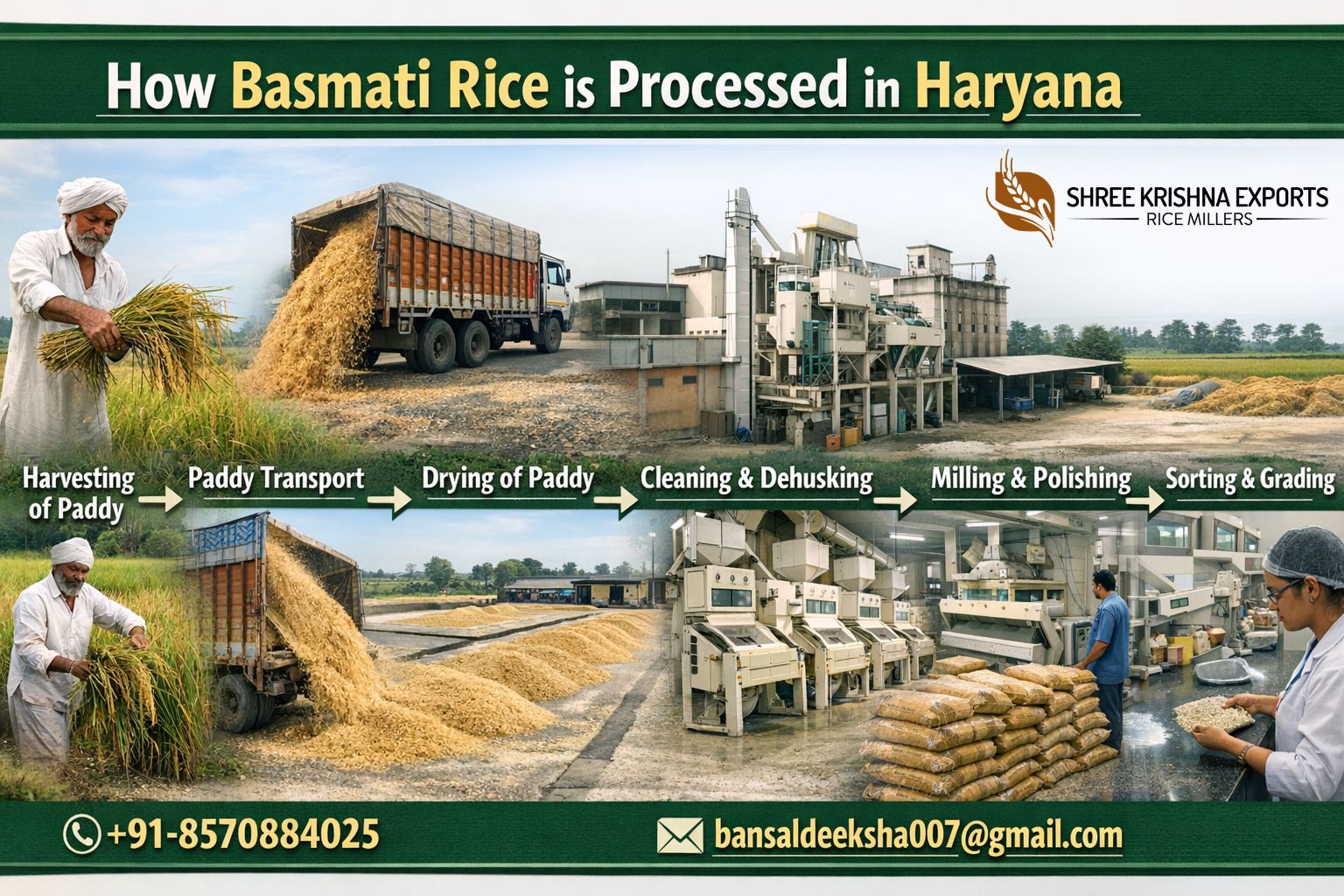 How basmati rice is processed in Haryana