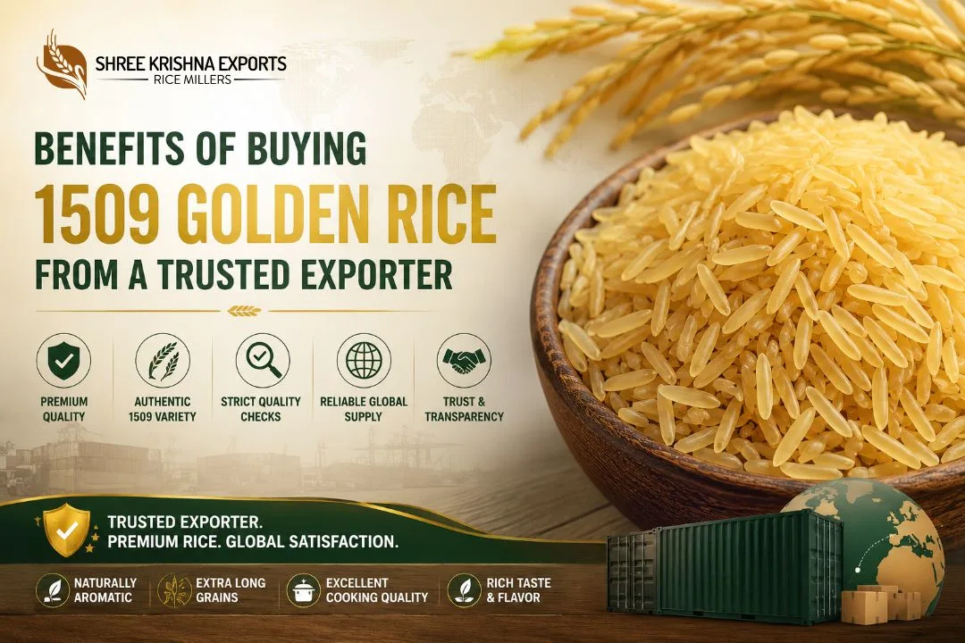 Benefits of Buying 1509 Golden Rice from a Trusted Exporter
